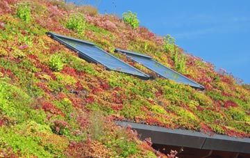 Flood Street living roof systems