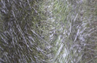 Flood Street fibreglass roof work